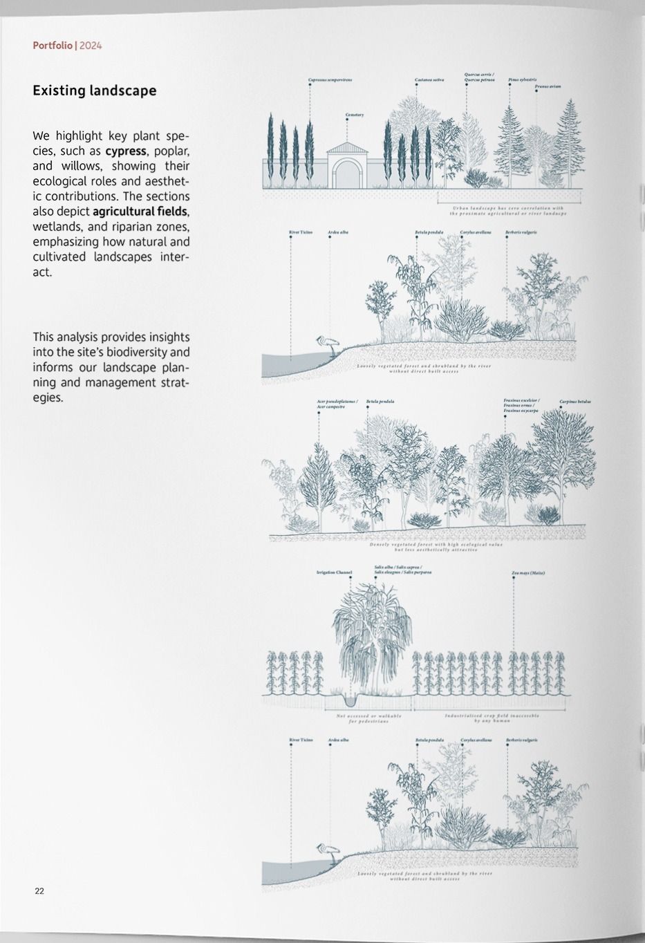 Five stacked section drawings of the existing landscape, naming cypress, poplar, willow and the crop fields between them.